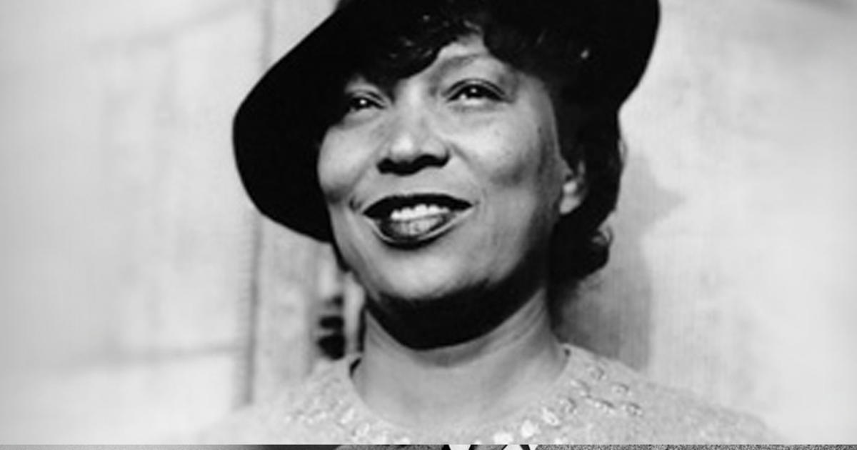 Perspectives of Zora Neale Hurston | Black History